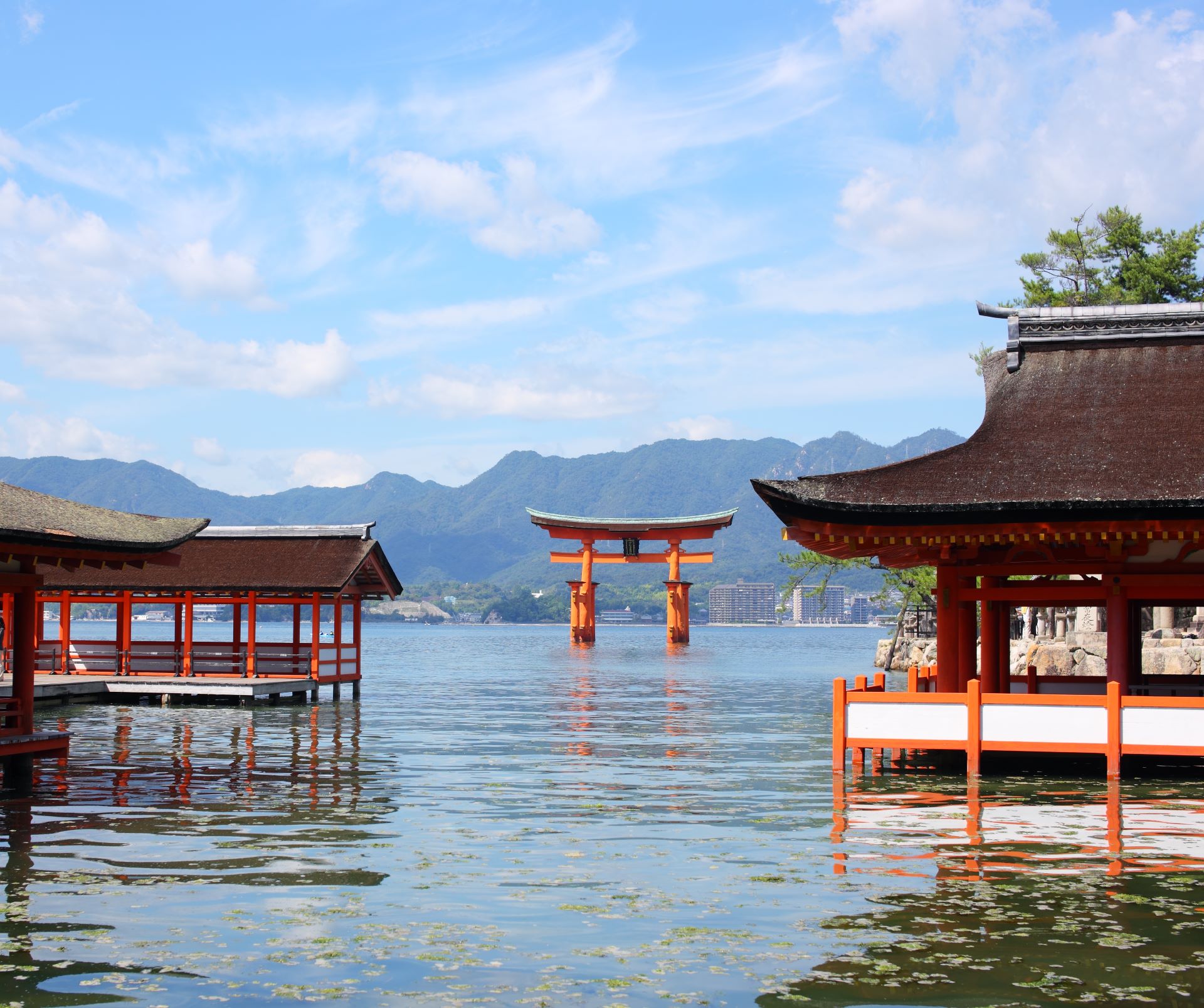 Descubre Japón: Un Viaje al Corazón de la Tradición y la Modernidad